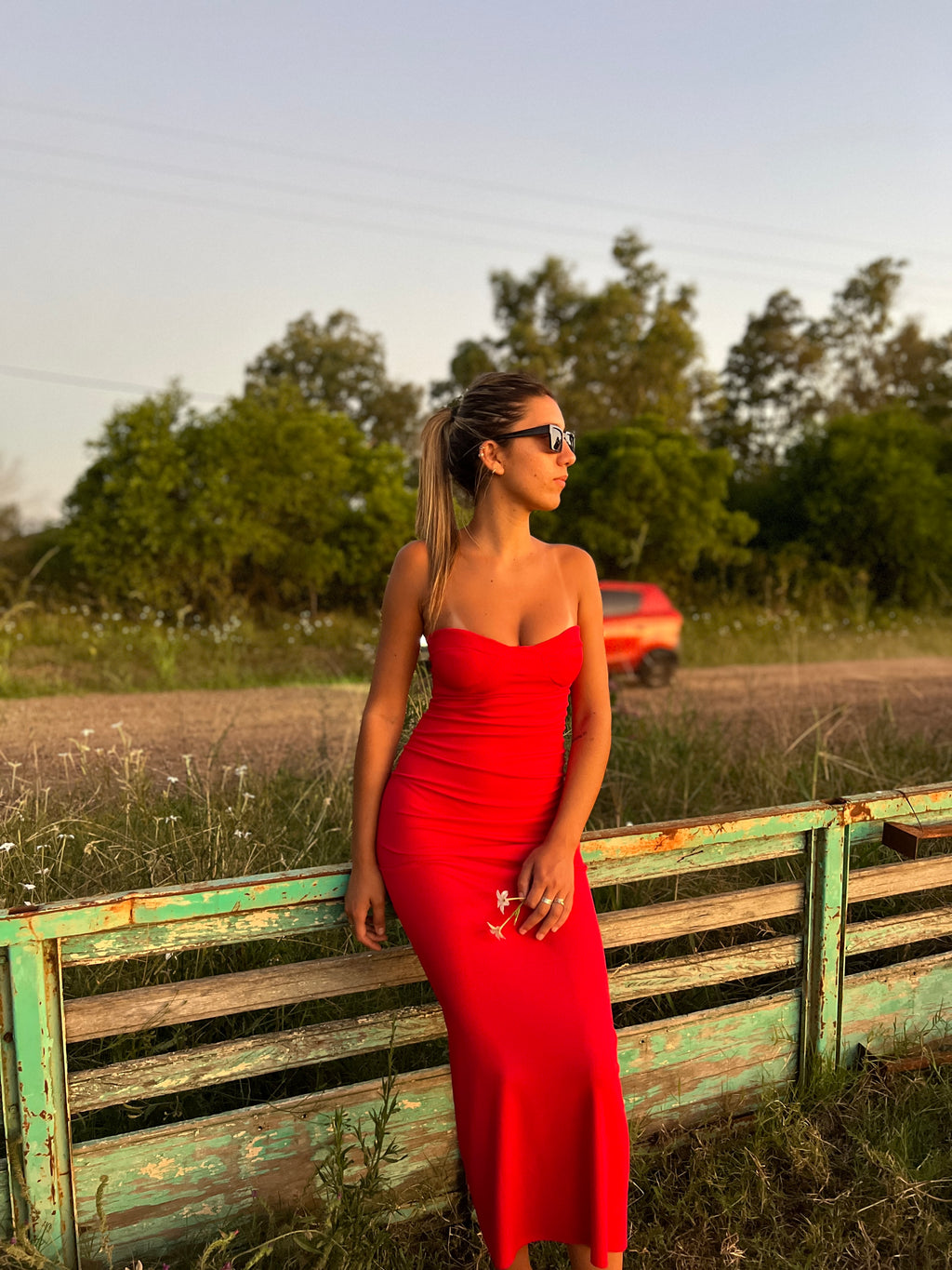 Vestido Lirio